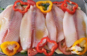 File De Tilapia Para A Semana Santa!