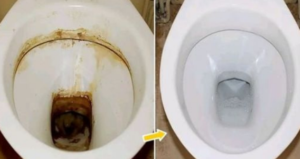 Técnicas Eficientes para Limpar o Vaso Sanitário