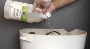 Despeje vinagre no tanque do vaso sanitário: você resolverá um grande problema