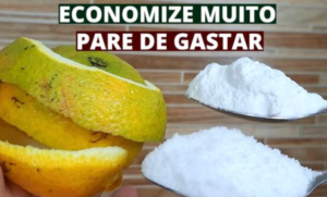 É só ferventar CASCA DE LARANJA com SAL e não precisa mais comprar no mercado